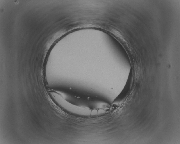 X0000067891181200605041545