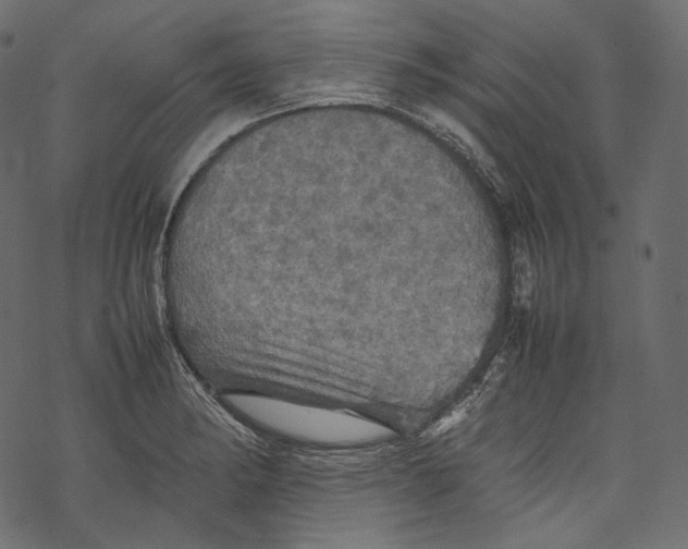 X0000067891182200605041545