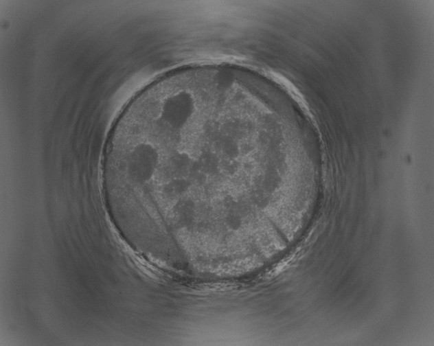 X0000067891183200605041545