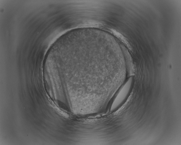 X0000067891184200605041545