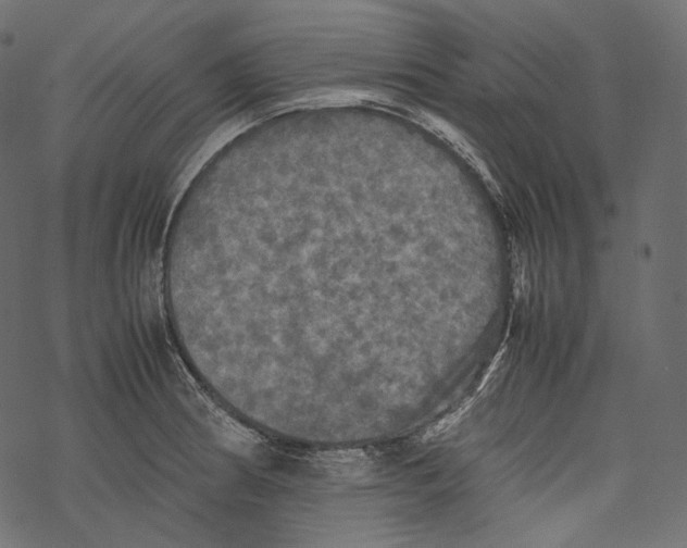 X0000067891186200605041545