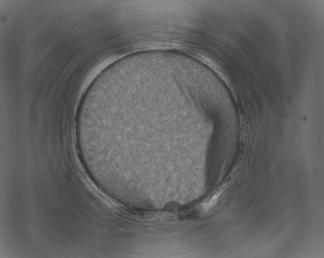 X0000067891187200605041545