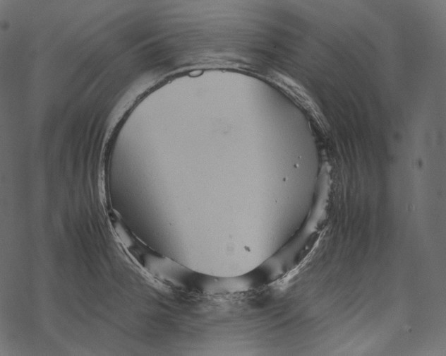 X0000067891188200605041544