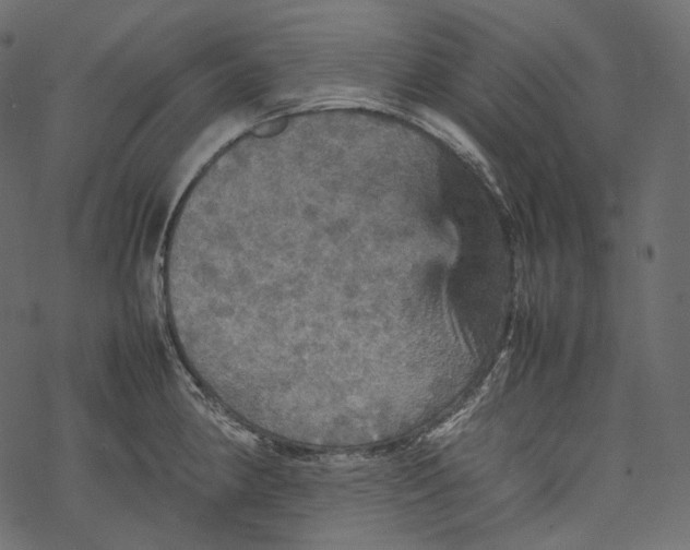 X0000067891190200605041544