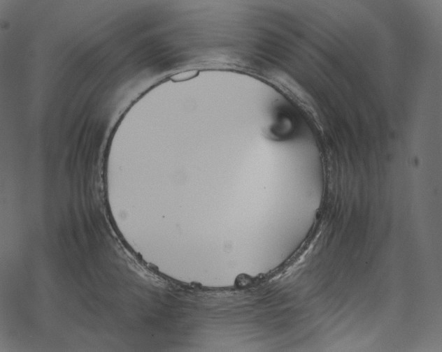 X0000067891192200605041544