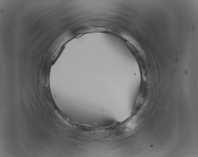 X0000067891193200605041544