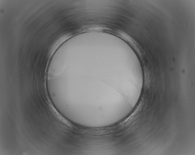 X0000067891194200605041544