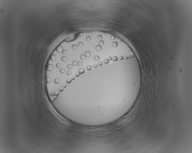 X0000067891195200605041544