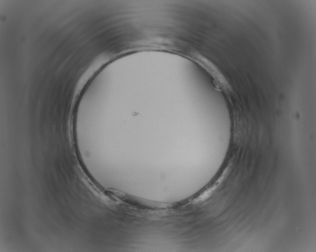 X0000067891196200605041544