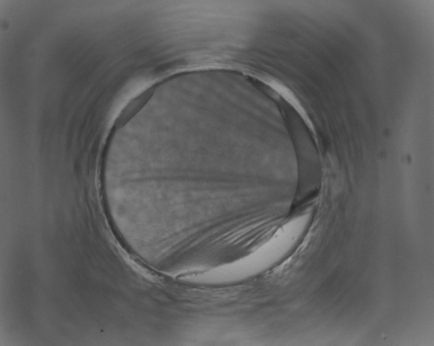 X0000067891197200605041544