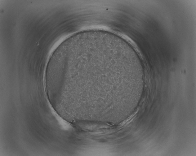 X0000067891199200605041544