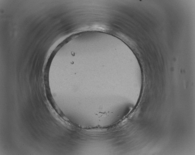 X0000067891200200605041544