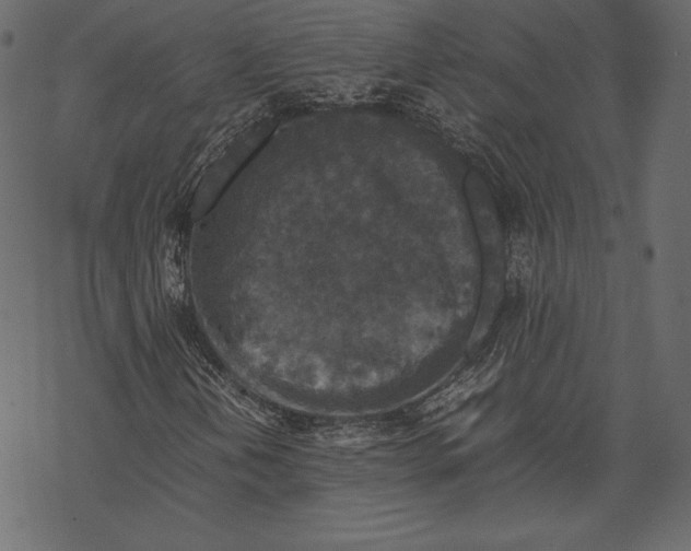 X0000067891202200605041544