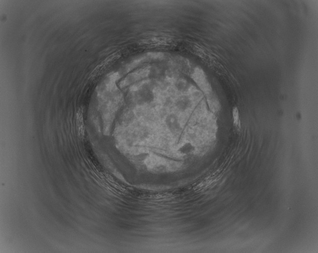 X0000067891203200605041544