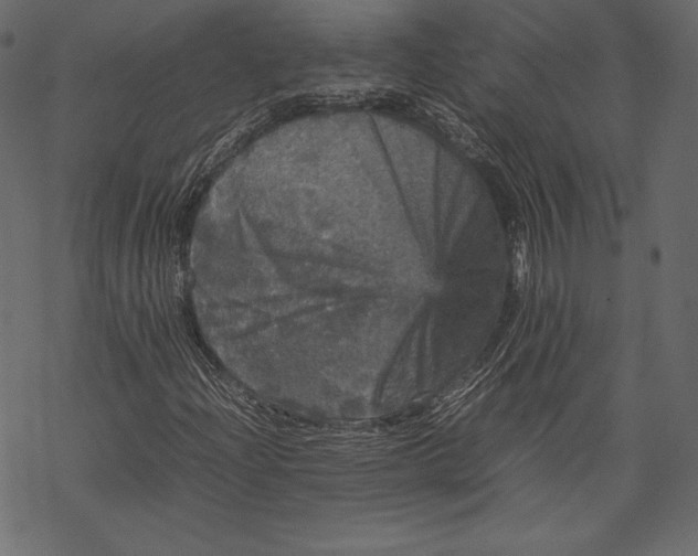 X0000067891204200605041544