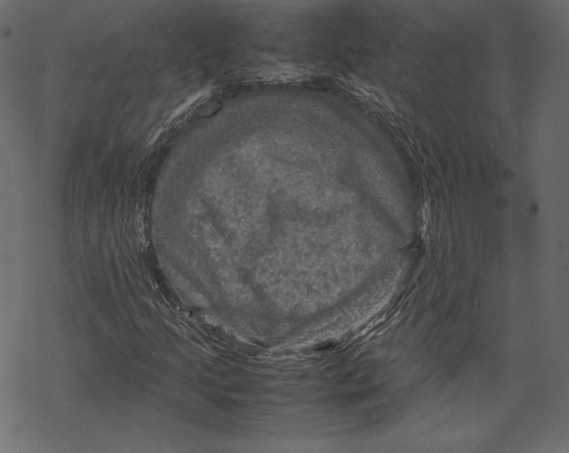 X0000067891205200605041544