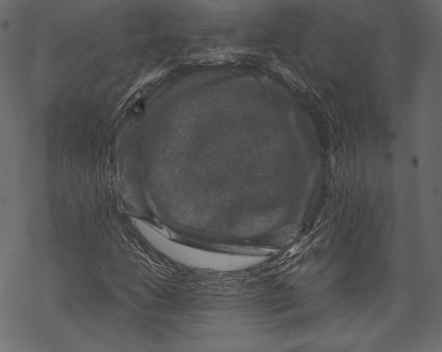 X0000067891206200605041544