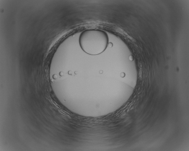 X0000067891208200605041544