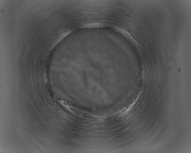 X0000067891209200605041544