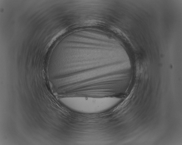 X0000067891210200605041544