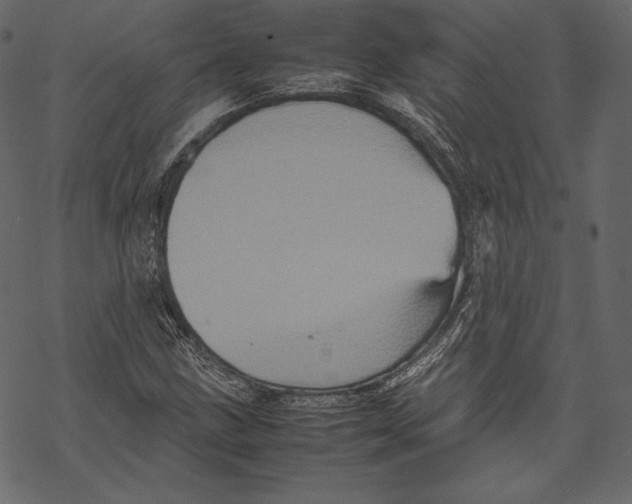 X0000067891211200605041544