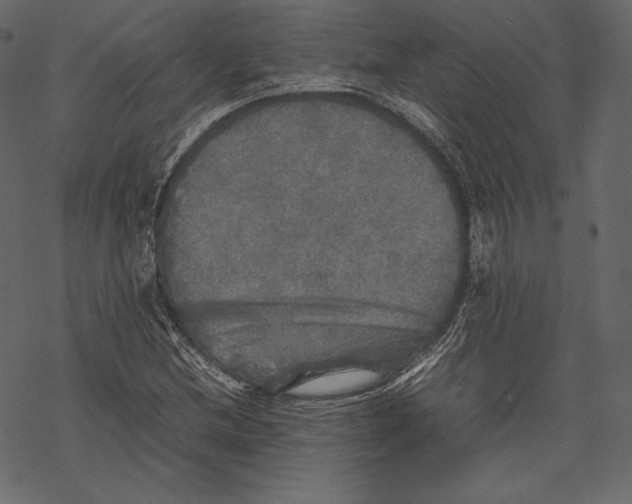 X0000067891212200605041544