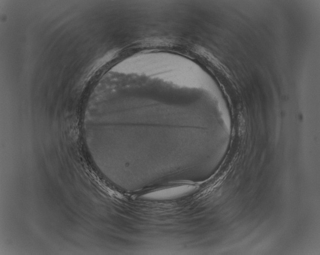 X0000067891213200605041544