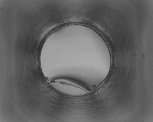 X0000067891214200605041544