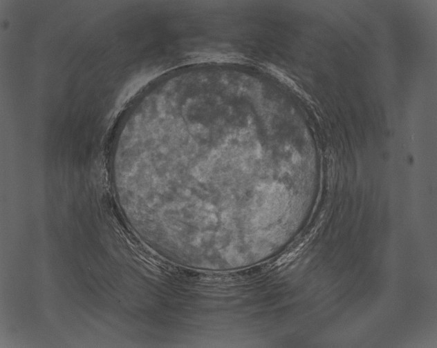 X0000067891215200605041544