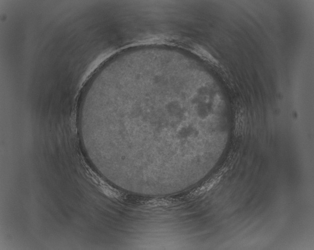 X0000067891216200605041544