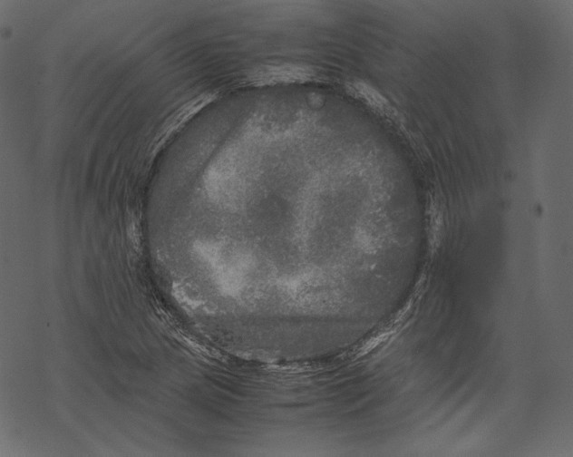 X0000067891217200605041544