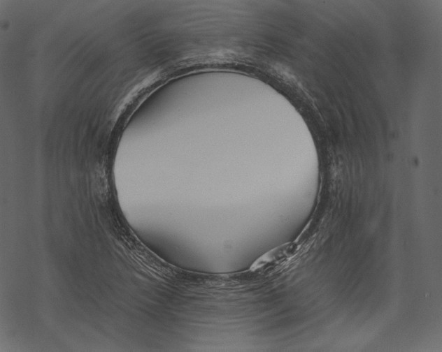 X0000067891218200605041544