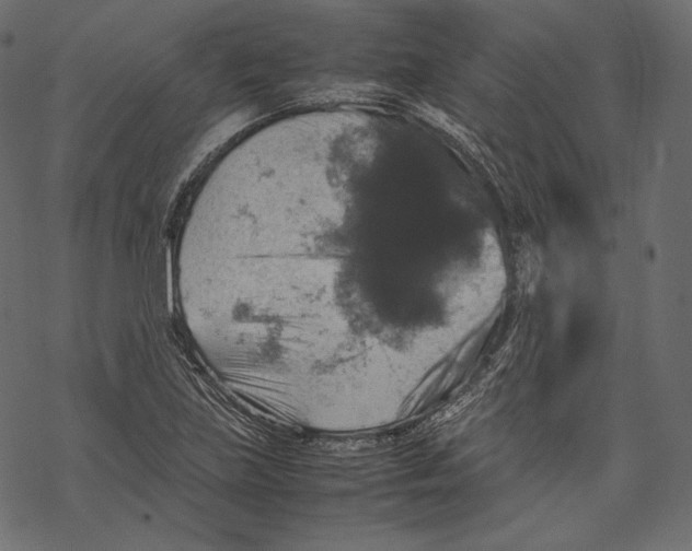 X0000067891219200605041544