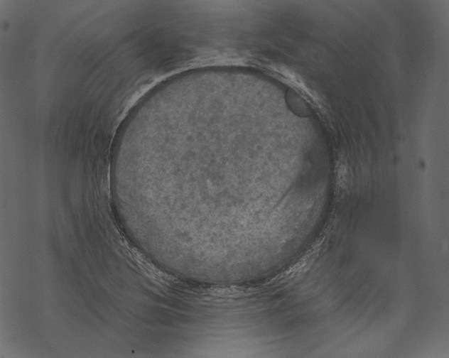 X0000067891220200605041544