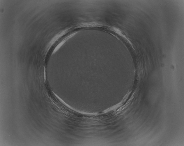 X0000067891221200605041544