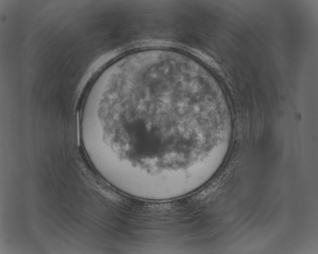 X0000067891223200605041544