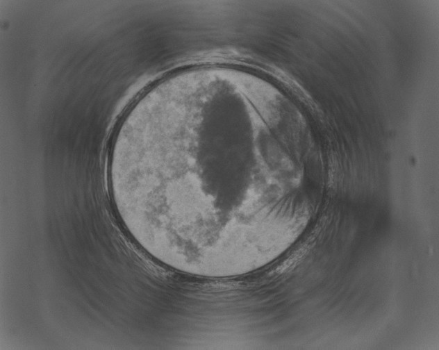 X0000067891224200605041544