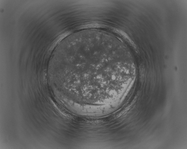 X0000067891225200605041544