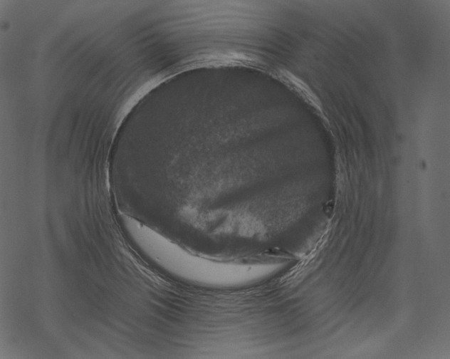 X0000067891226200605041544