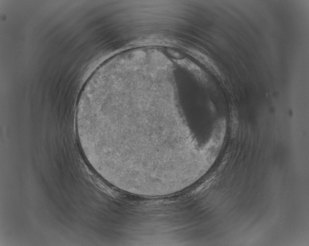 X0000067891228200605041544