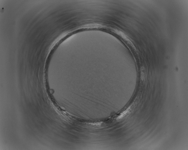 X0000067891229200605041544