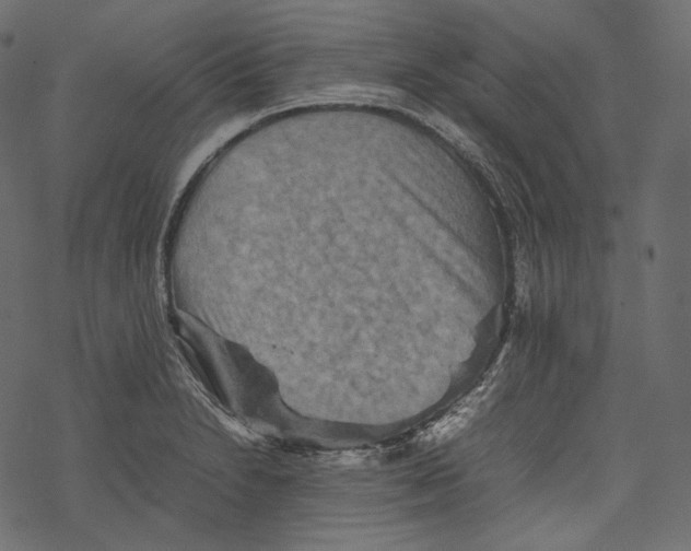 X0000067891230200605041544