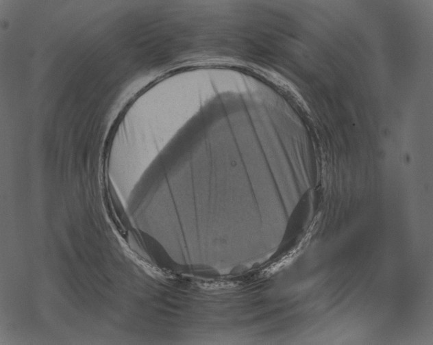 X0000067891231200605041544