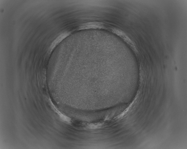 X0000067891233200605041544