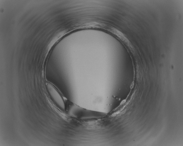 X0000067891234200605041544