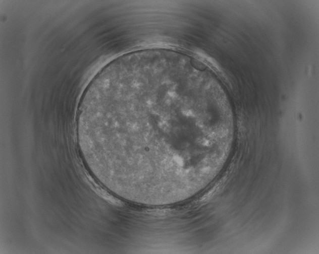 X0000067891236200605041544