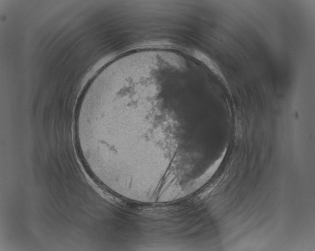 X0000067891237200605041544