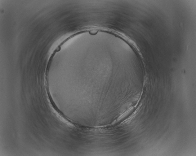 X0000067891239200605041544