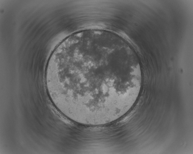 X0000067891240200605041544