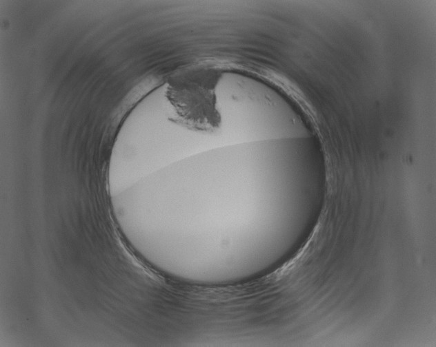 X0000067891241200605041544